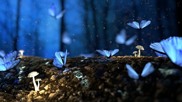 How the prehistoric butterflies existed before flowers? 1