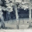 Мъртва детска площадка - най-обитаваният от духове парк в Америка 2
