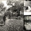 The spooky tales behind the Bachelor's Grove cemetery 3