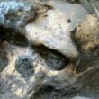 头骨5-一百万年前的人类头骨迫使科学家们重新思考人类早期进化1