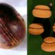 The Klerksdorp spheres — Billion years old strange stones of Ottosdal 6