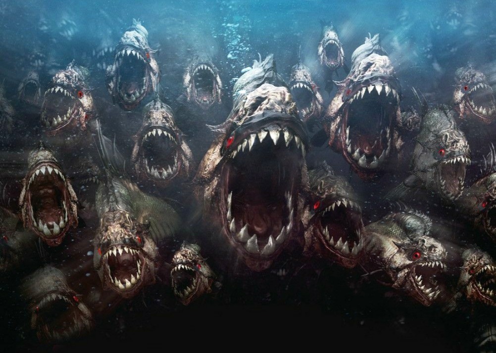 Creepy stories from the deadliest piranha attacks 19