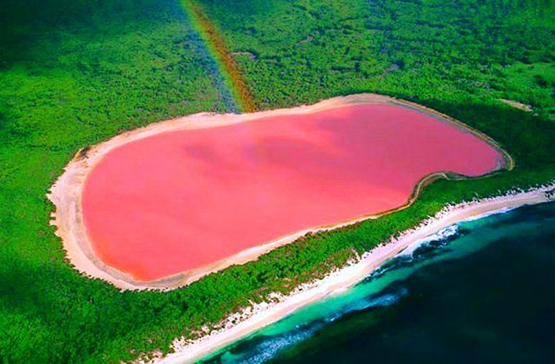 Розовое озеро Хиллиер — неповторимая красота Австралии 7