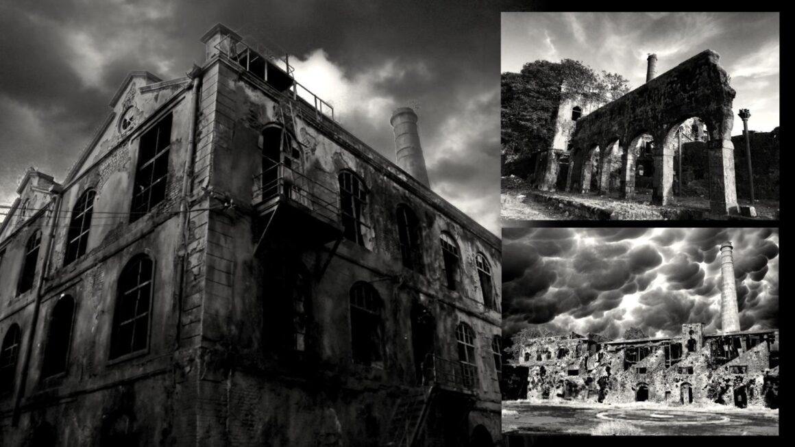 Mukesh Mills – 뭄바이의 버려진 19세기 직물 공장 뒤에 숨겨진 끔찍한 이야기 ​​3