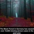 Germany’s Black Forest caused 15,000 missing person cases last year – fact or fiction! 4
