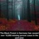 Germany’s Black Forest caused 15,000 missing person cases last year – fact or fiction! 7