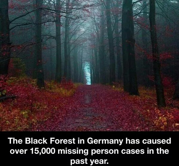 Germany’s Black Forest caused 15,000 missing person cases last year – fact or fiction! 1