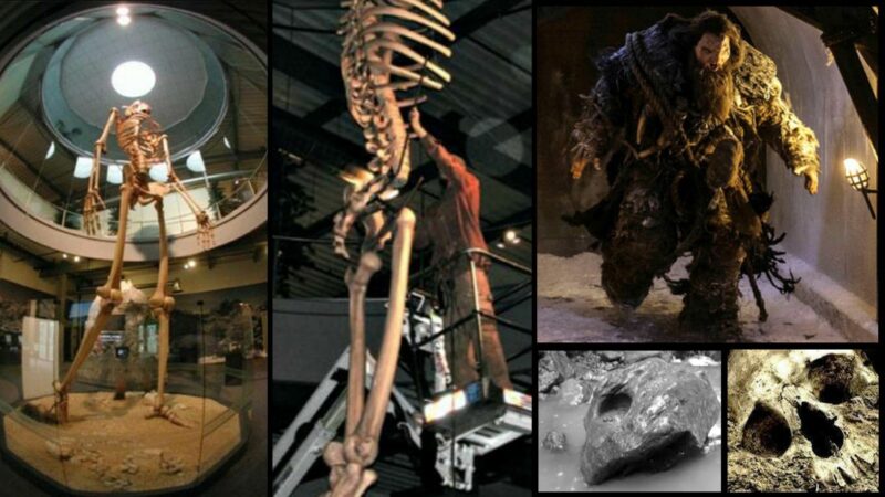 Rejtett történelem kiderült: 7 méter magas óriás csontvázak láthatók a 1. kiállításon
