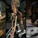 Slēpta vēsture atklāja: izstādīti 7 metrus augsti milzu skeleti 11