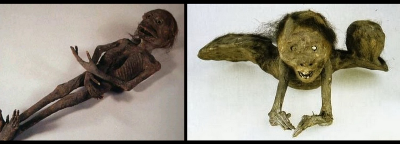 Are mummified remains of unidentified creature proof of the mythological Kappa? 9