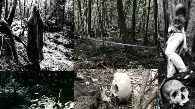 Aokigahara – The infamous 'suicide forest' of Japan 1