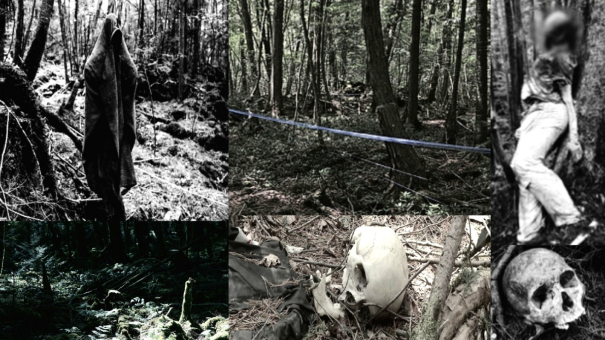 Aokigahara – The infamous 'suicide forest' of Japan 2