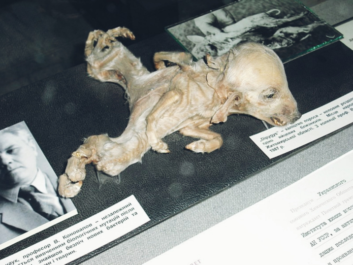 체르노빌 재앙 – 세계 최악의 핵폭발 6
