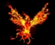Phoenix bird of immortality immortal Phoenix 