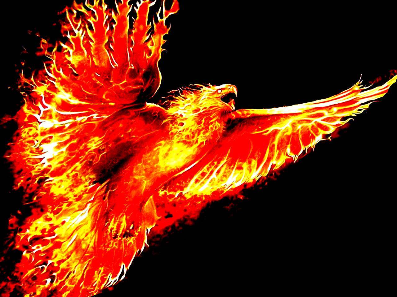 Immortal Phoenix: Is Phoenix bird real? If so, is it still alive? 8