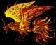 Immortal Phoenix: Is Phoenix bird real? If so, is it still alive? 7