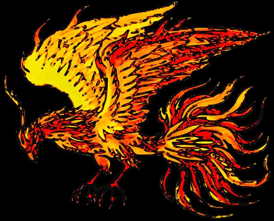 Immortal Phoenix: Is Phoenix bird real? If so, is it still alive? 4