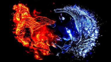 Immortal Phoenix: Is Phoenix Bird echt? Zo ja, leeft het nog? 4