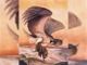 Immortal Phoenix: Is Phoenix bird real? If so, is it still alive? 10