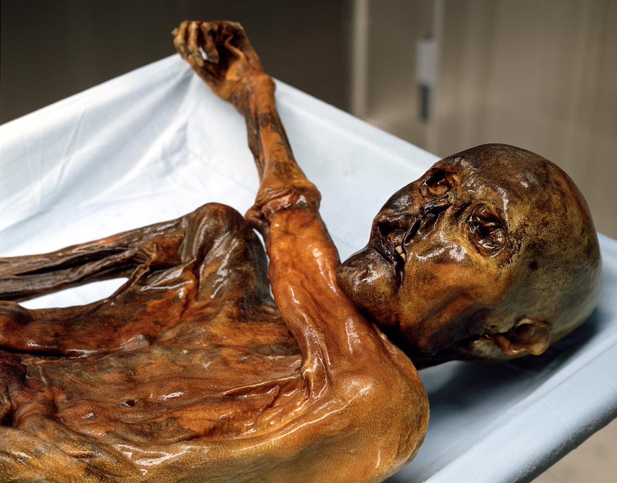 Ötzi l'homme des glaces