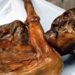 Ötzi – mummy a bụrụ ọnụ nke 'Tyrolean Iceman si Hauslabjoch' 3