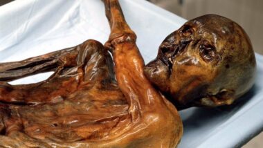 Ötzi - 'Tyrolean Iceman from Hauslabjoch' 13 جي لعنت ٿيل ممي