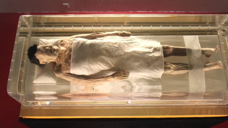 Нико не зна зашто је древна мумија Лади Даи из Кине тако добро очувана! 9