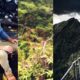 پس از صعود از پله های بدنام هایکو در هاوایی چه اتفاقی برای دیلن پوآ افتاد؟ 9