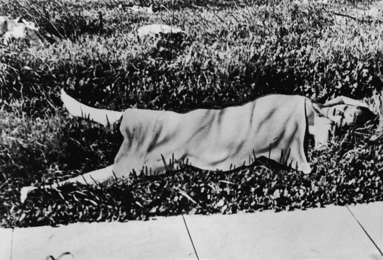 Black Dahlia: The 1947 murder of Elizabeth Short is still unsolved 6
