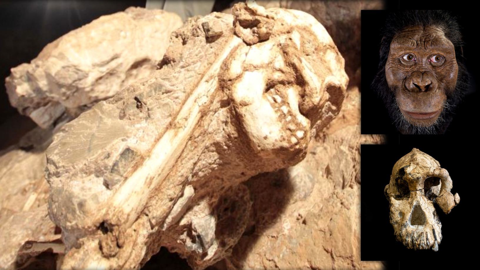 Little Foot: Zanimiv 3.6 milijona let star človeški prednik 2
