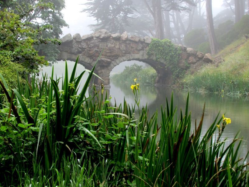 The ghost of Stow Lake in Golden Gate Park 6