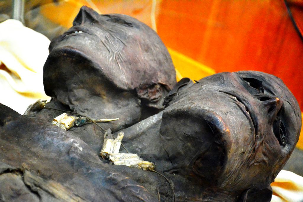 Kap Dwa: The mysterious mummy of a two-headed giant 3