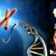26 strangest facts about DNA and genes that you never heard of 10