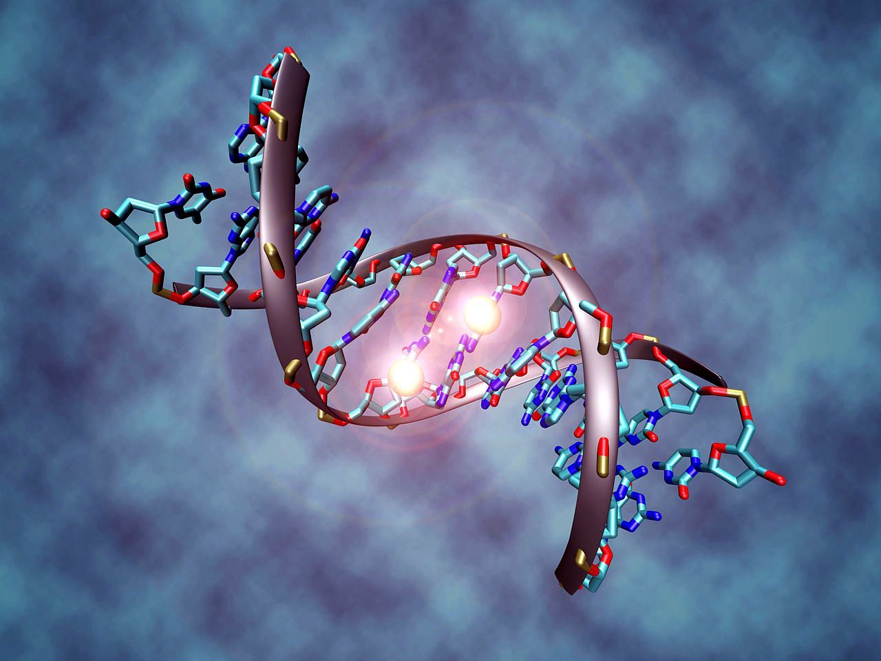 26 komeschste Fakten iwwer DNA a Genen vun deenen Dir ni héieren hutt 5