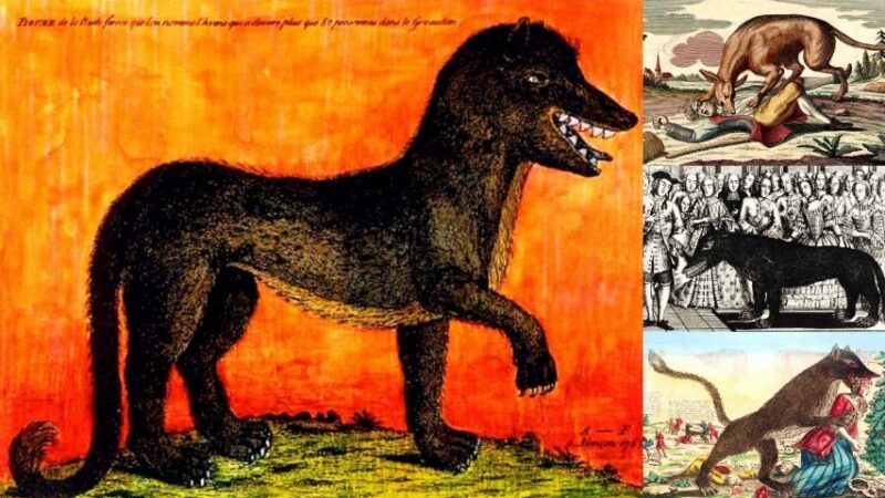 The mystery of the 18th-century killer "Beast of Gévaudan" – Victims found torn apart or decapitated! 1