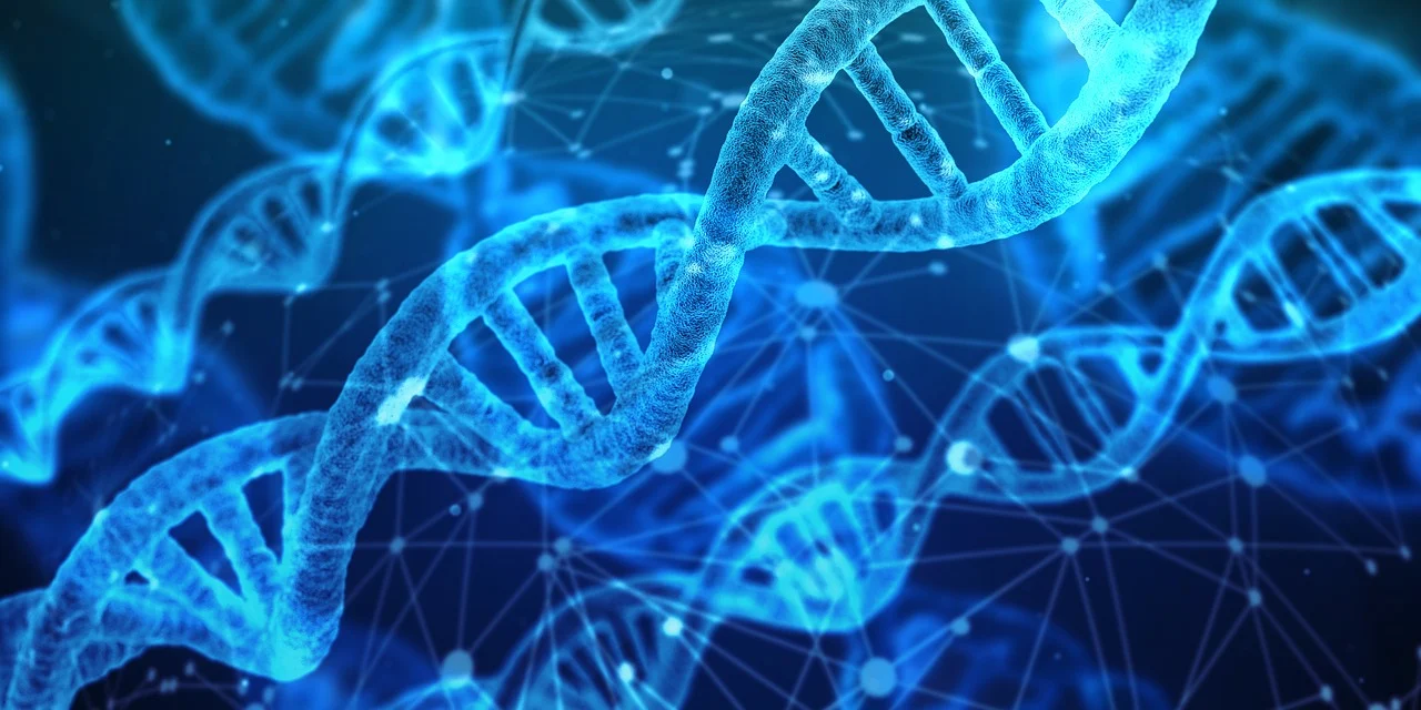 26 дзіўных фактаў пра ДНК і генах, пра якія вы ніколі не чулі 9