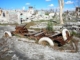 Villa Epecuén – The town that spent 25 years underwater! 8