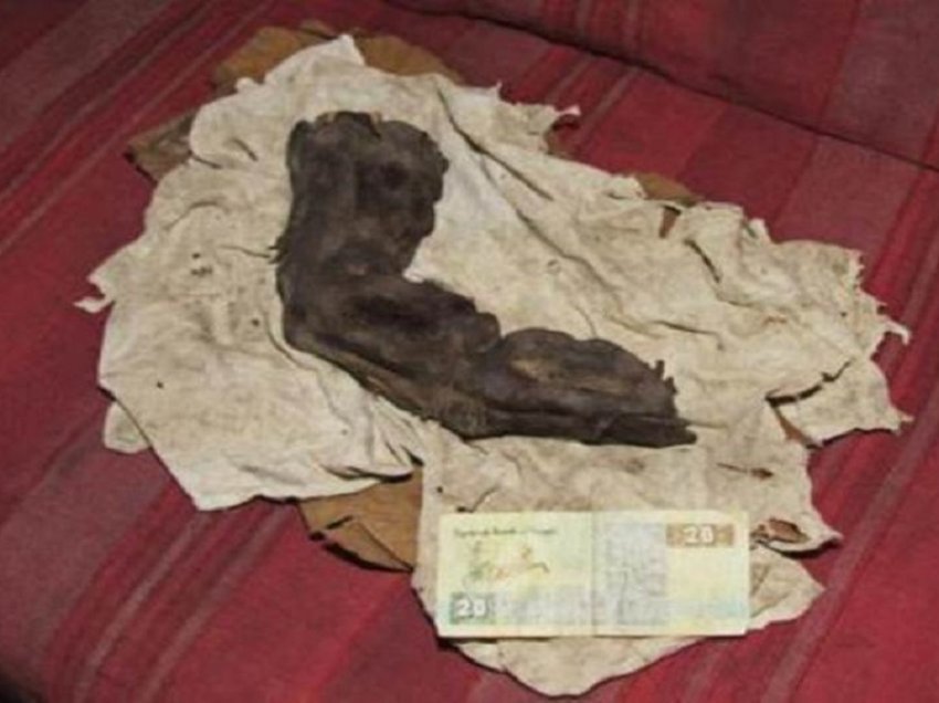 Mumifikovaný „obří prst“ Egypta: Opravdu se kdysi po Zemi toulali obři? 8