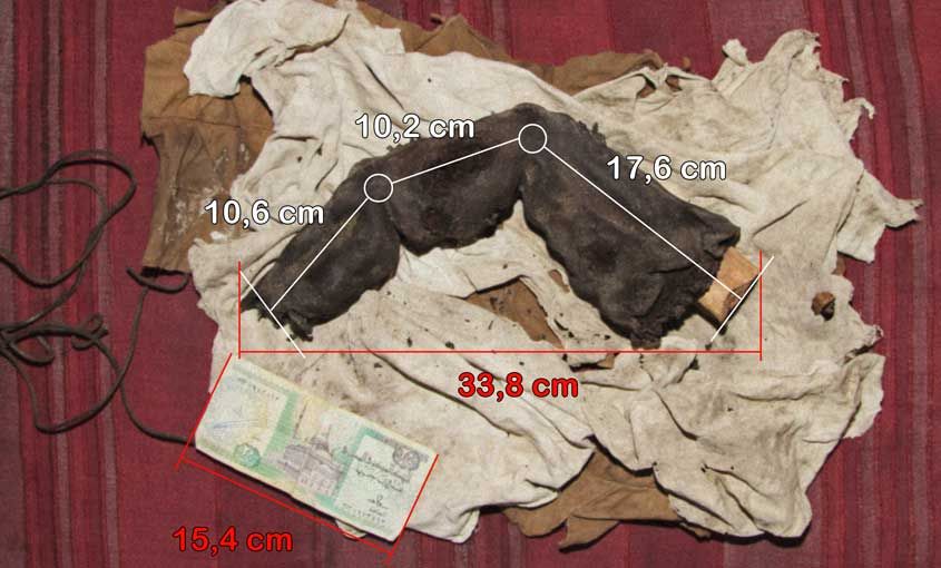 Mumifikovaný „obří prst“ Egypta: Opravdu se kdysi po Zemi toulali obři? 9