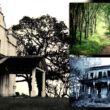7 most haunted places to visit in Goa 9