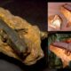 „London Hammer“ - 400 milijonų metų senumo intriguojantis OOPArt! 12