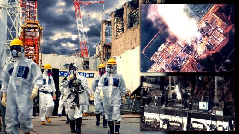 Horrors of the Fukushima Daiichi nuclear disaster 1