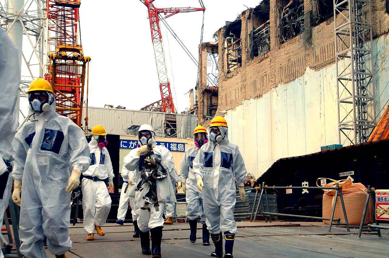 Horrors of the Fukushima Daiichi nuclear disaster 6