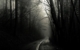 Hauntings of the Shades of Death Road 8