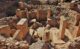 Göbekli Tepe seniausia kada nors rasta megalitinė struktūra