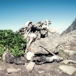 Skelettsjö: Forntida lämningar frusna i tiden i Himalaya 3