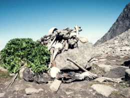 Tasik rangka: Tinggalan purba beku dalam masa di Himalaya 3