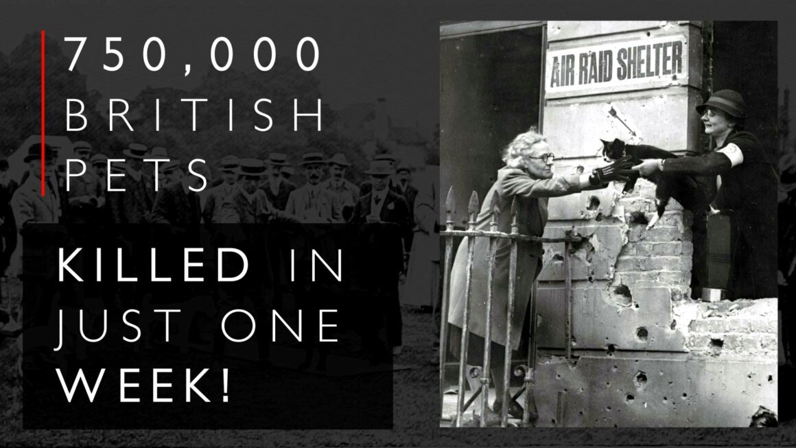 Britský masakr mazlíčků