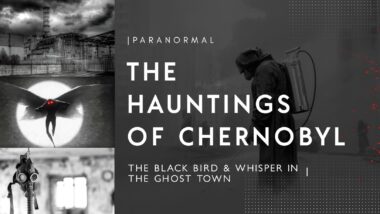 Паранормалните обитатели на Чернобил