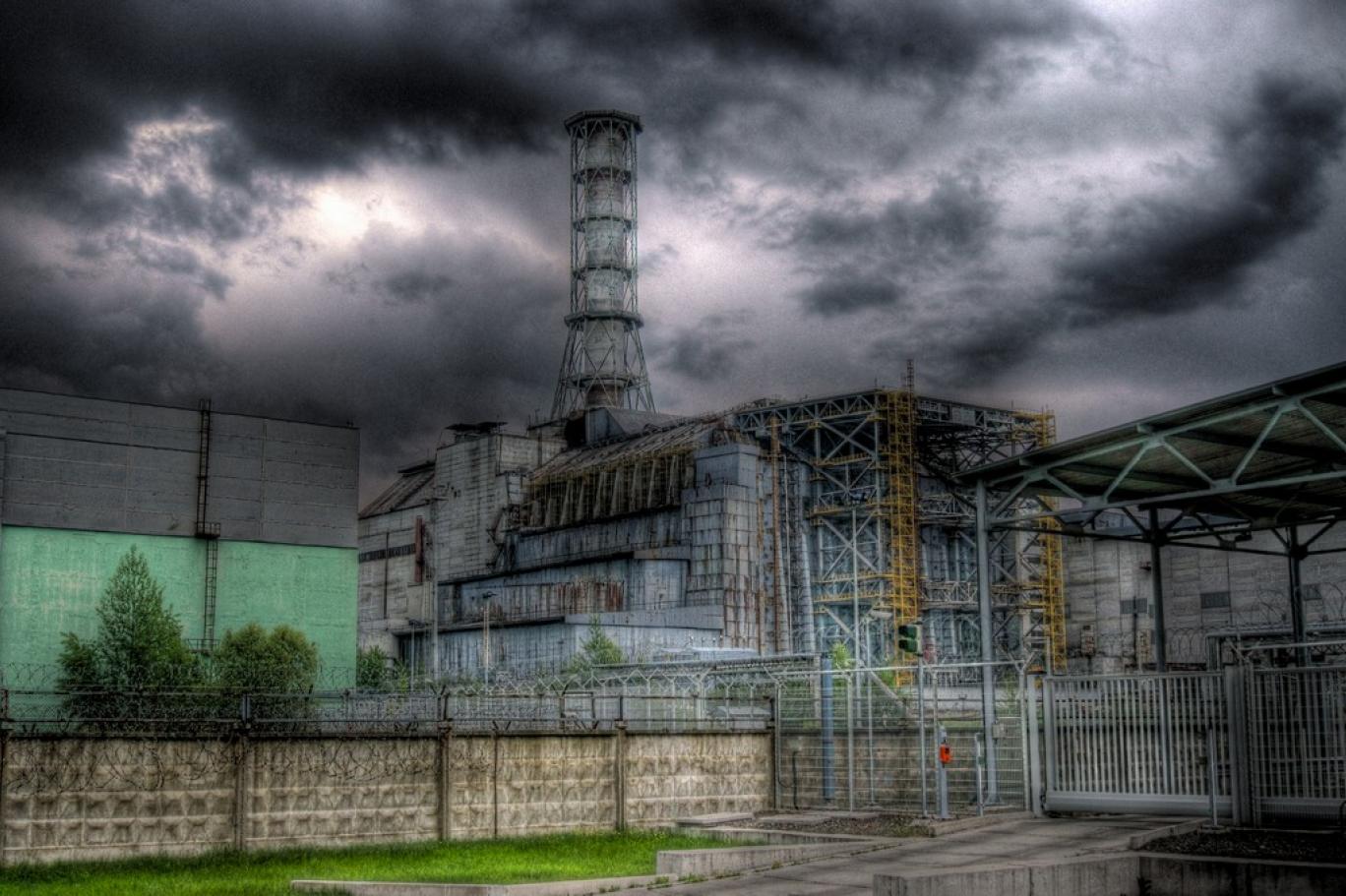 Hongos de Chernóbil